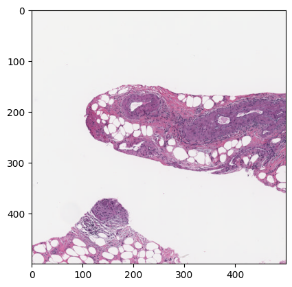 Screenshot of slide region