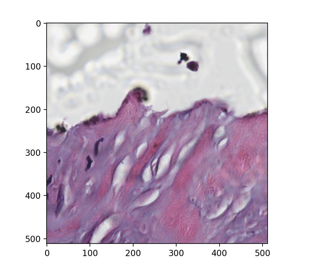 Screenshot of slide region